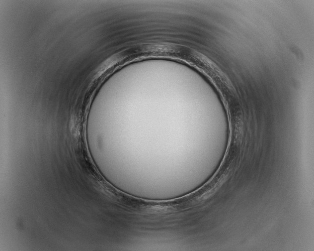 X0000116861017201001051420