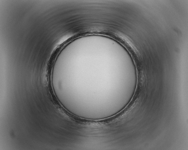 X0000116861018201001051420