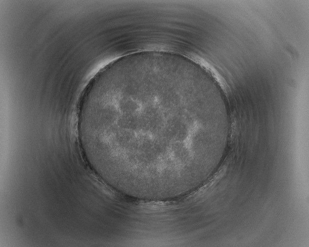 X0000116861019201001051421