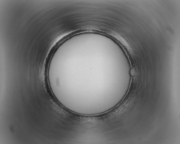 X0000116861020201001051421