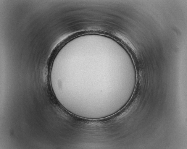 X0000116861021201001051421