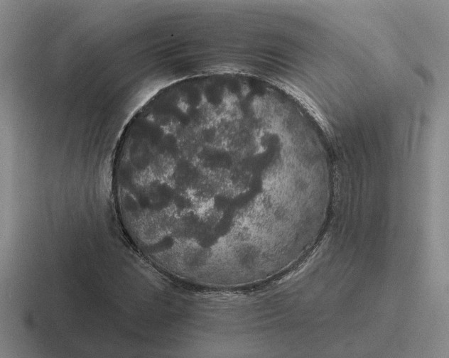 X0000116861023201001051421