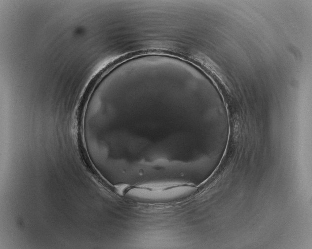 X0000116861024201001051421