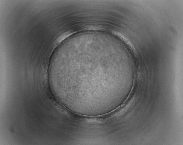 X0000116861025201001051421