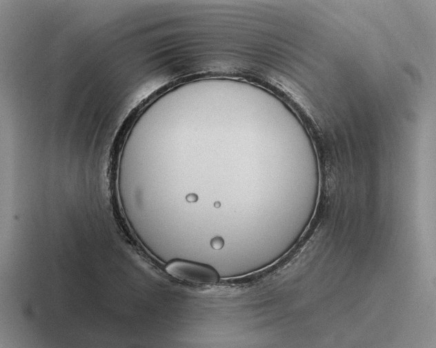 X0000116861026201001051421