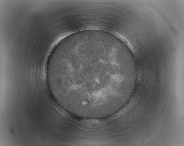 X0000116861027201001051421