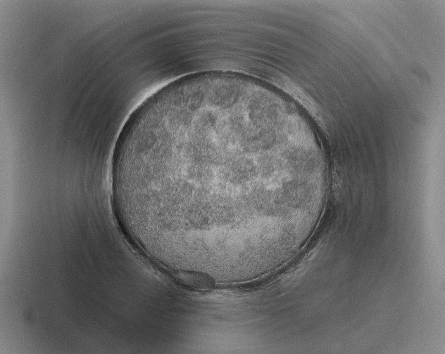 X0000116861028201001051421