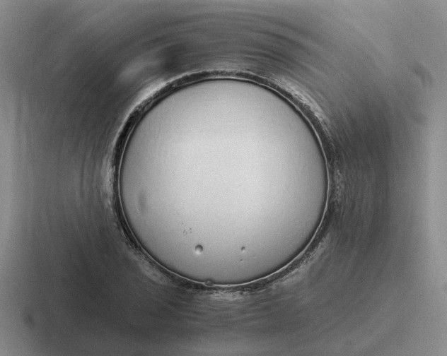 X0000116861029201001051421