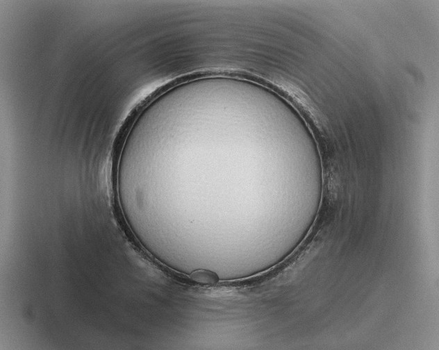 X0000116861030201001051421