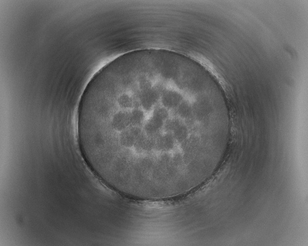 X0000116861032201001051421