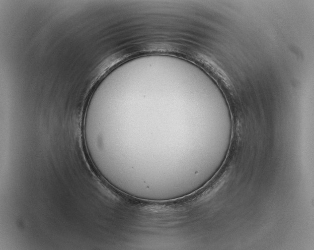 X0000116861033201001051421