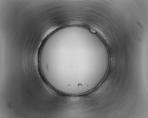 X0000116861034201001051421