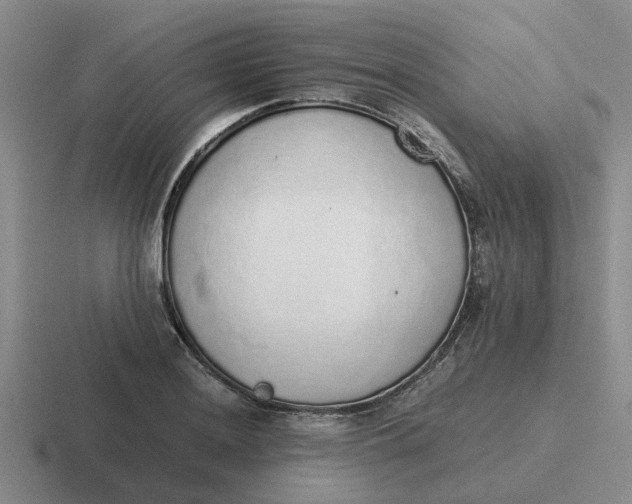 X0000116861036201001051421