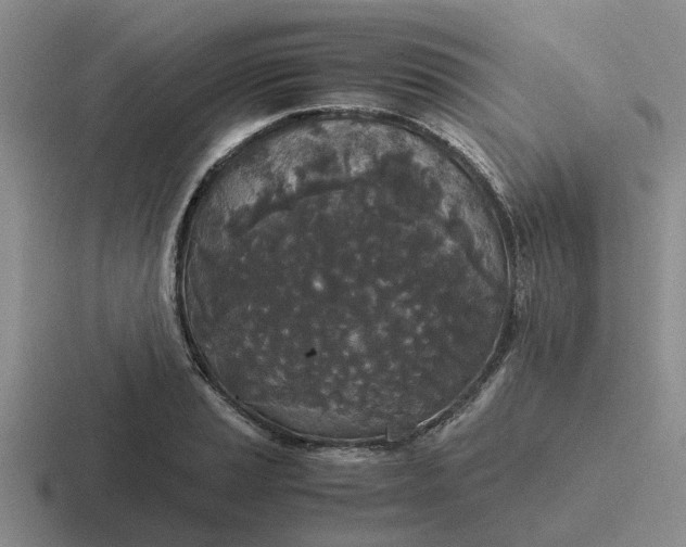 X0000116861037201001051421