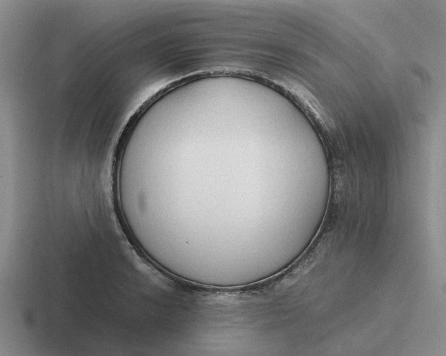 X0000116861038201001051421