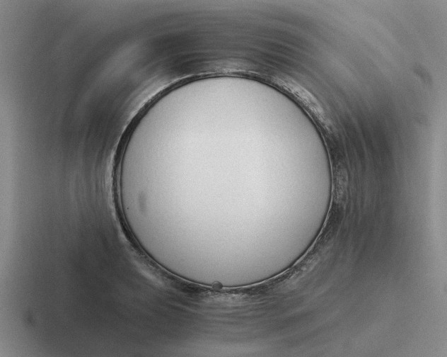 X0000116861039201001051421