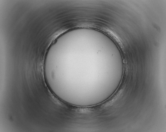 X0000116861041201001051421