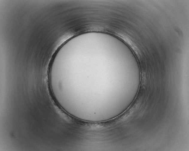 X0000116861042201001051421