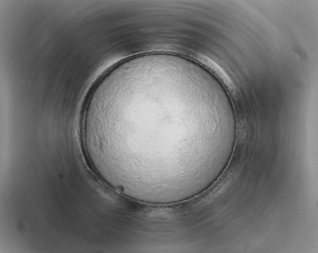 X0000116861043201001051421