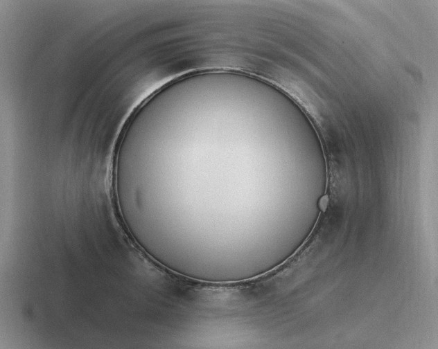 X0000116861044201001051421