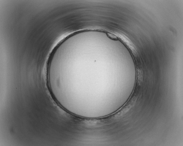 X0000116861046201001051421