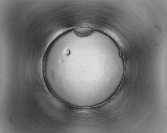 X0000116861047201001051421