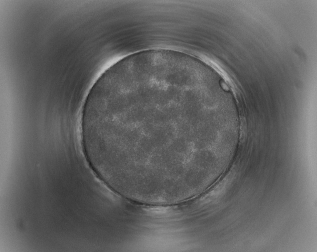 X0000116861048201001051421