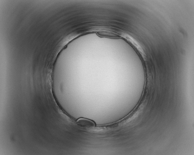 X0000116861049201001051421