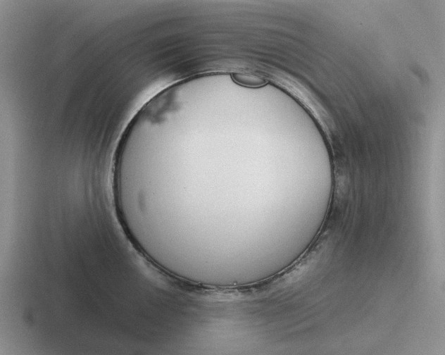 X0000116861050201001051421