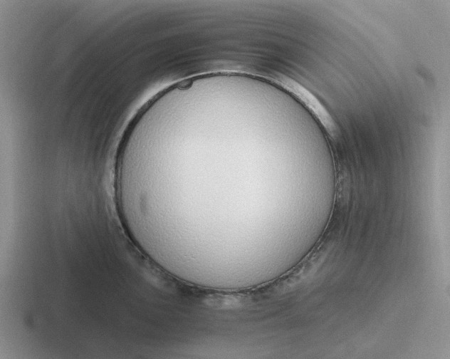 X0000116861051201001051421