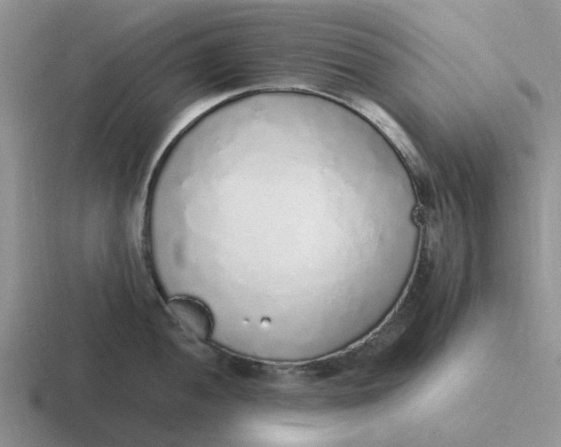 X0000116861052201001051421