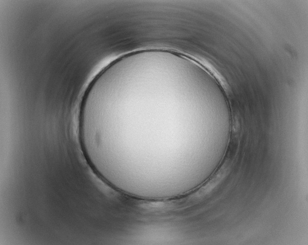 X0000116861054201001051421