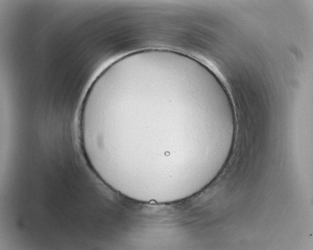 X0000116861056201001051421