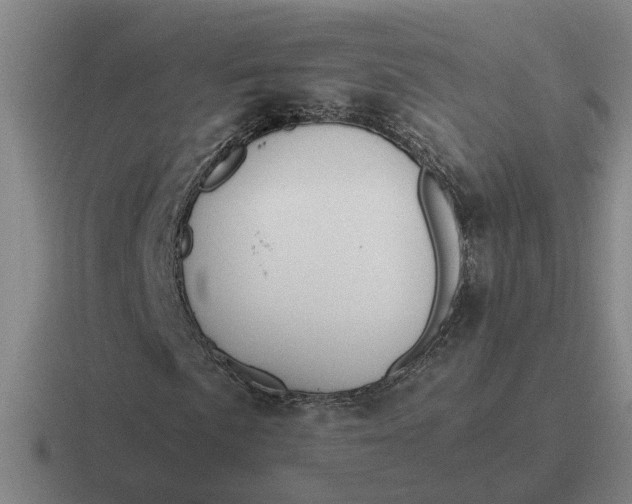 X0000116861057201001051420