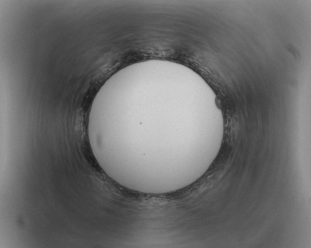 X0000116861058201001051420