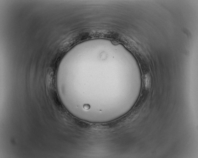 X0000116861059201001051420