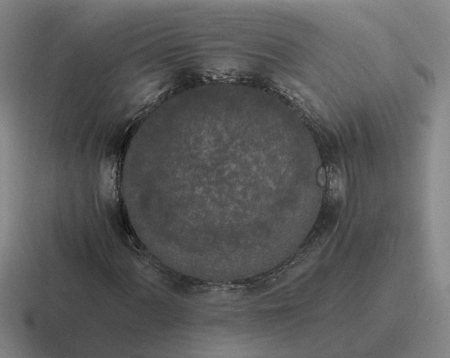 X0000116861060201001051420