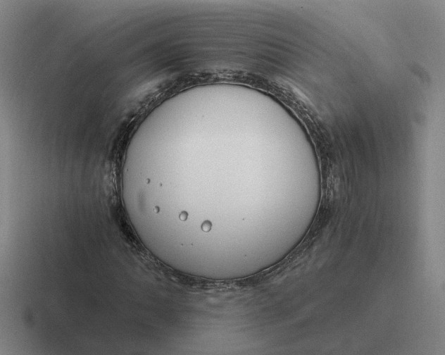 X0000116861062201001051420