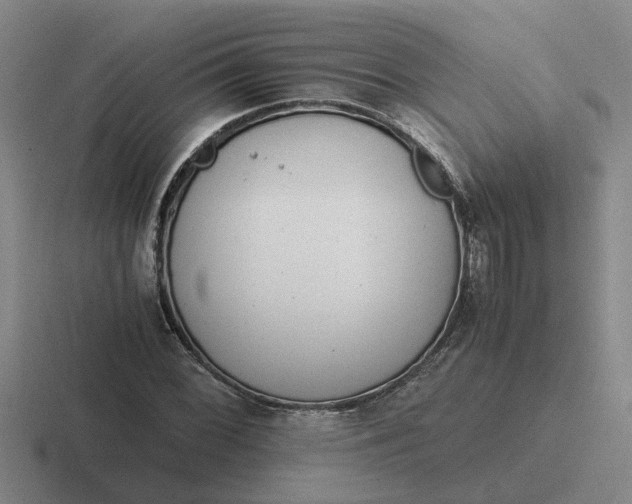 X0000116861068201001051420