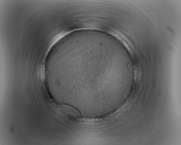 X0000116861069201001051420