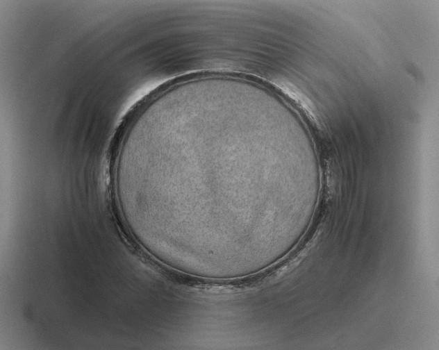 X0000116861070201001051420