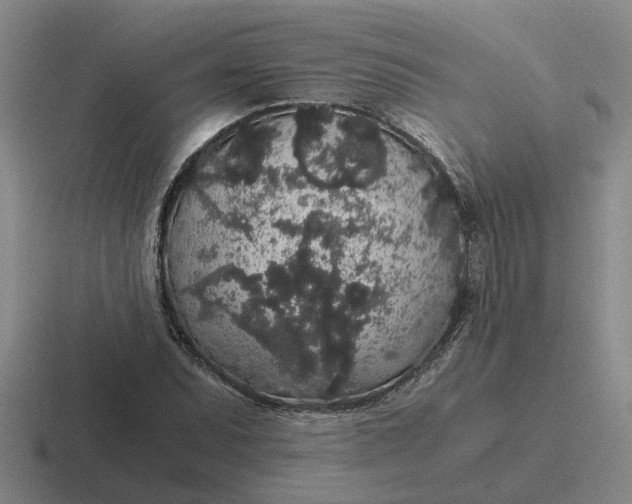 X0000116861071201001051420