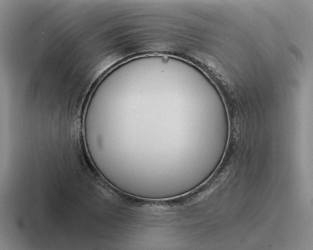 X0000116861073201001051420