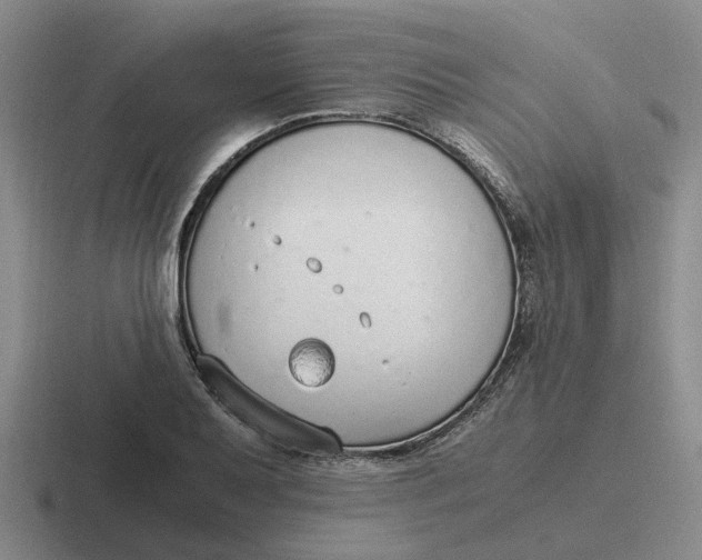 X0000116861079201001051420