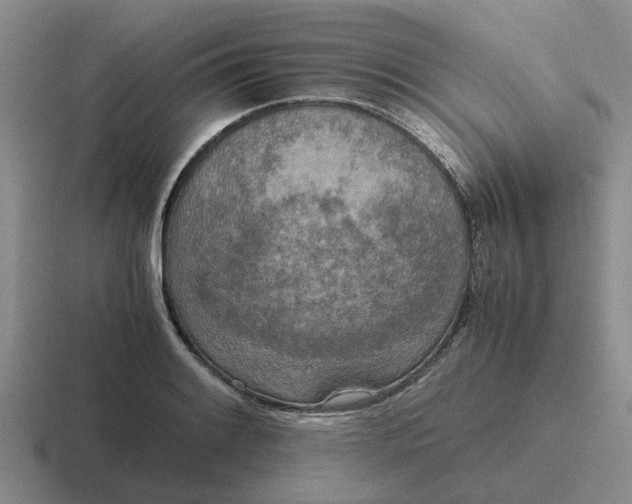 X0000116861084201001051420