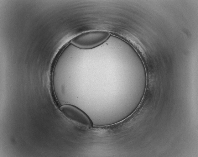 X0000116861085201001051420