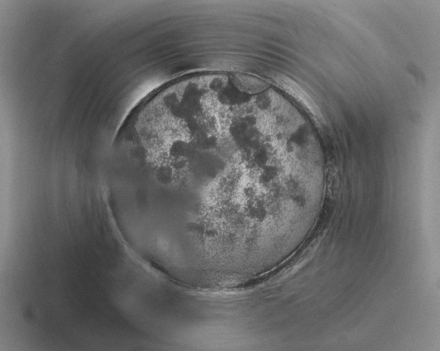 X0000116861087201001051420