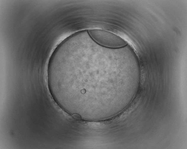 X0000116861088201001051420