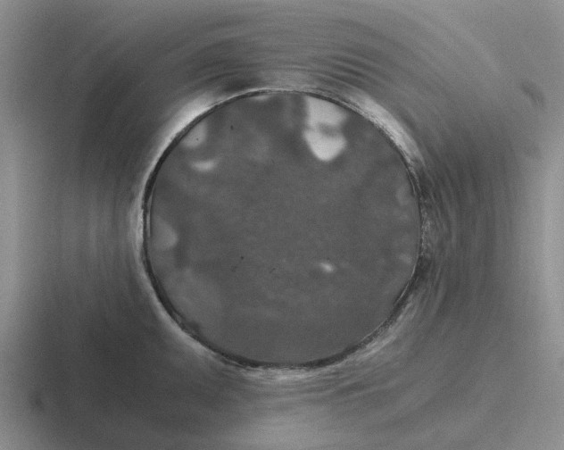 X0000116861095201001051420