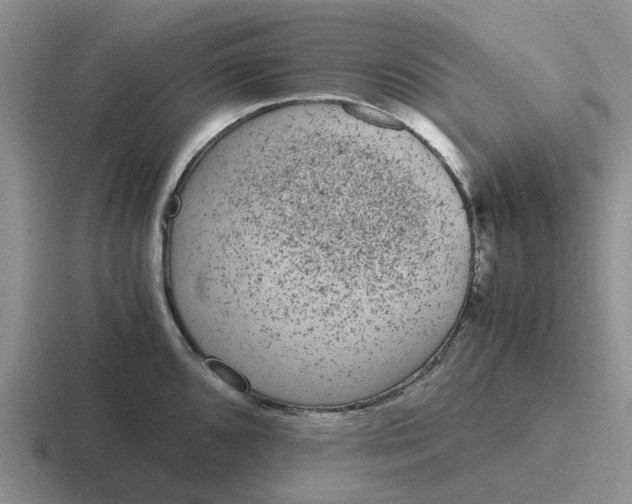 X0000116861096201001051420